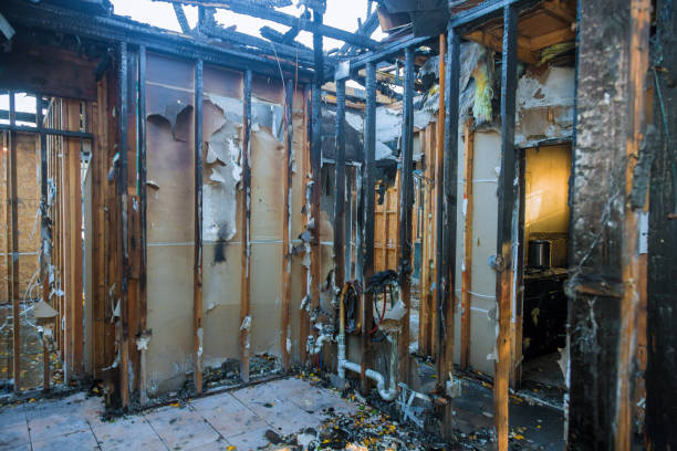 Professional Fire Damage Removal technician working in Indian Rocks Beach, FL